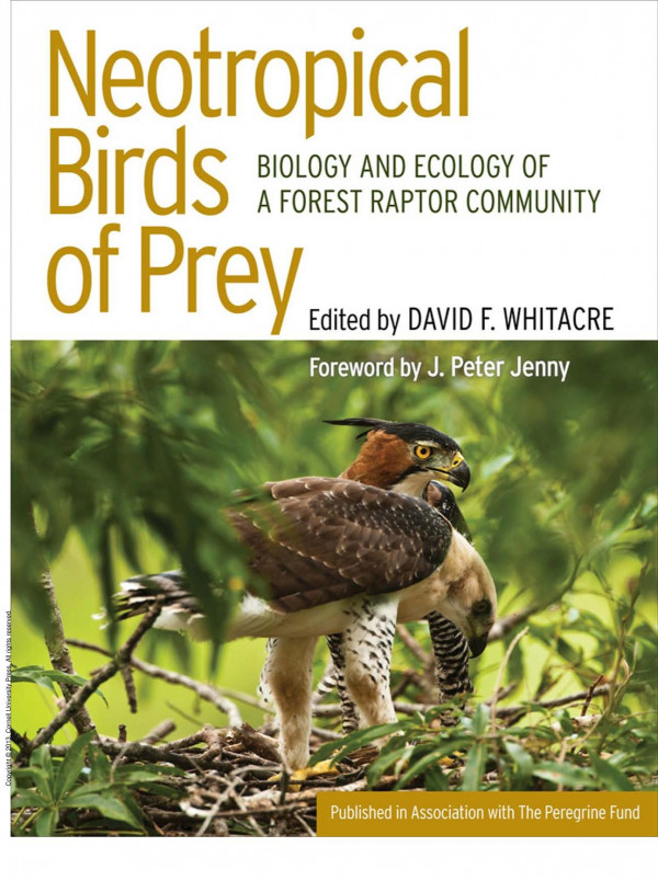 Neotropical Birds Of Prey Biology And Ecology Of A Forest Raptor Community 1st Edition David Whitacre