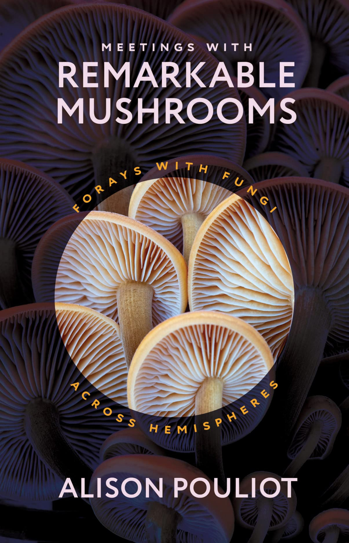 Meetings With Remarkable Mushrooms Forays With Fungi Across Hemispheres 1st Edition Alison Pouliot