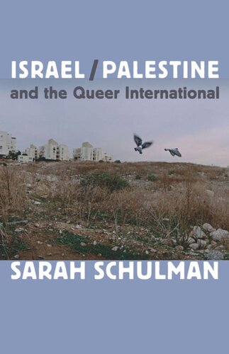 Israelpalestine And The Queer International Sarah Schulman