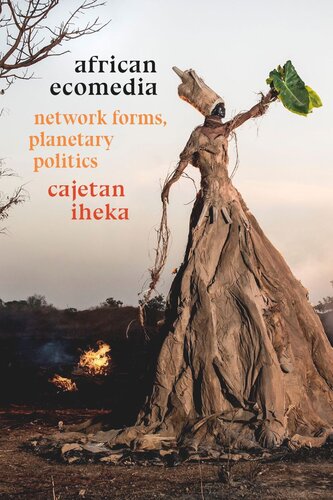 African Ecomedia Network Forms Planetary Politics Cajetan Iheka