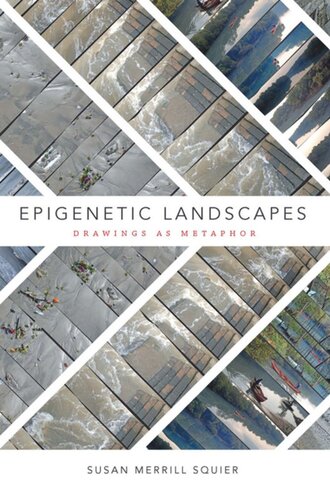 Epigenetic Landscapes Drawings As Metaphor Susan Merrill Squier