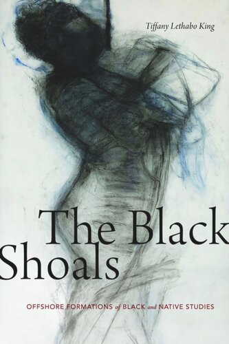 The Black Shoals Offshore Formations Of Black And Native Studies Tiffany Lethabo King