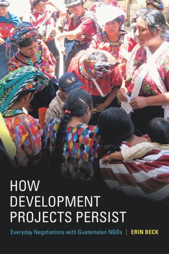 How Development Projects Persist Everyday Negotiations With Guatemalan Ngos Erin Beck