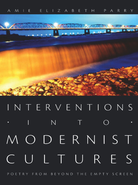 Interventions Into Modernist Cultures Poetry From Beyond The Empty Screen Perverse Modernities 1st Edition Amie Elizabeth Parry
