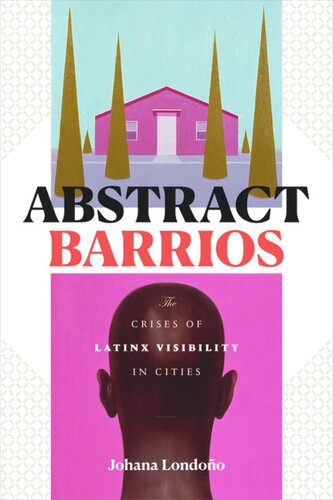 Abstract Barrios The Crises Of Latinx Visibility In Cities Johana Londoo