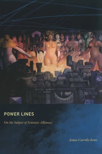 Power Lines On The Subject Of Feminist Alliances Aimee Carrillo Rowe