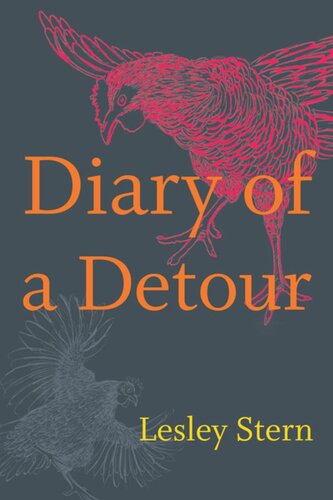 Diary Of A Detour Lesley Stern