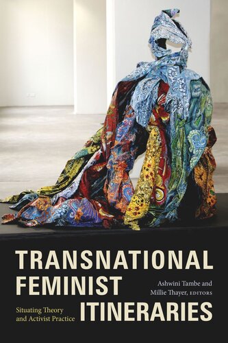 Transnational Feminist Itineraries Situating Theory And Activist Practice Ashwini Tambe Editor Millie Thayer Editor