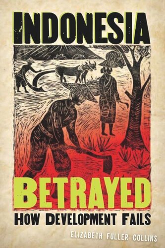 Indonesia Betrayed How Development Fails Elizabeth Fuller Collins