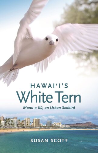 Hawaiis White Tern Manuok An Urban Seabird Susan Scott