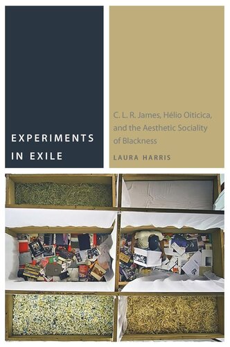 Experiments In Exile C L R James Hlio Oiticica And The Aesthetic Sociality Of Blackness Laura Harris