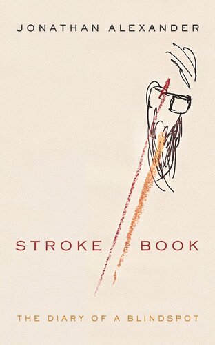 Stroke Book The Diary Of A Blindspot Jonathan Alexander