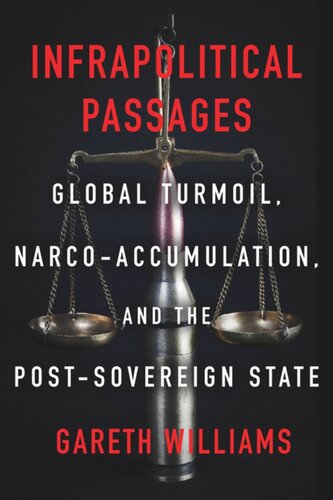Infrapolitical Passages Global Turmoil Narcoaccumulation And The Postsovereign State Gareth Williams