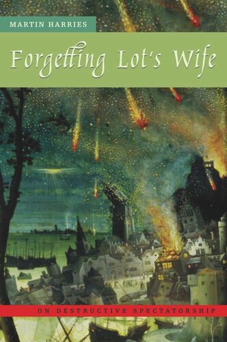 Forgetting Lots Wife On Destructive Spectatorship Martin Harries