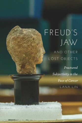 Freuds Jaw And Other Lost Objects Fractured Subjectivity In The Face Of Cancer Lana Lin