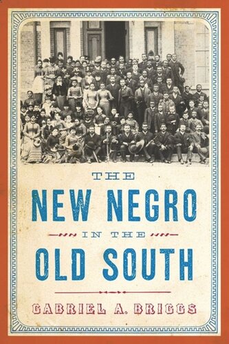 The New Negro In The Old South Gabriel A Briggs