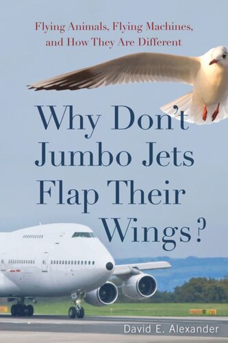 Why Dont Jumbo Jets Flap Their Wings Flying Animals Flying Machines And How They Are Different David Alexander