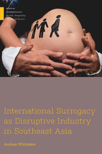 International Surrogacy As Disruptive Industry In Southeast Asia Andrea Whittaker