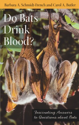 Do Bats Drink Blood Fascinating Answers To Questions About Bats Barbara A Schmidtfrench Carol A Butler