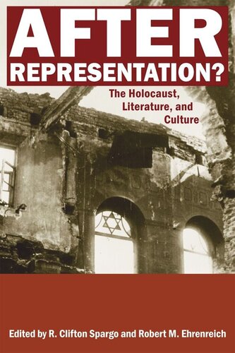 After Representation The Holocaust Literature And Culture