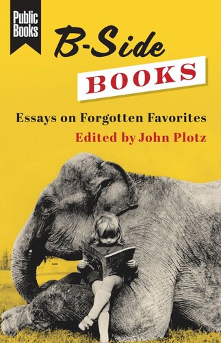 Bside Books Essays On Forgotten Favorites John Plotz Editor