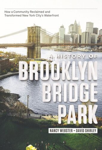 A History Of Brooklyn Bridge Park How A Community Reclaimed And Transformed New York Citys Waterfront Nancy Webster David Shirley