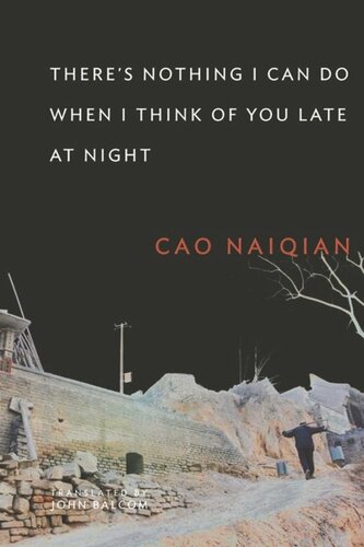 Theres Nothing I Can Do When I Think Of You Late At Night Naiqian Cao John Balcom