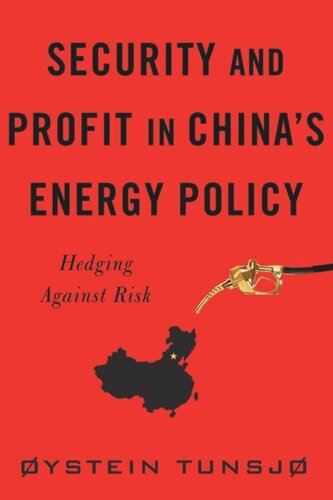 Security And Profit In Chinas Energy Policy Hedging Against Risk Ystein Tunsj