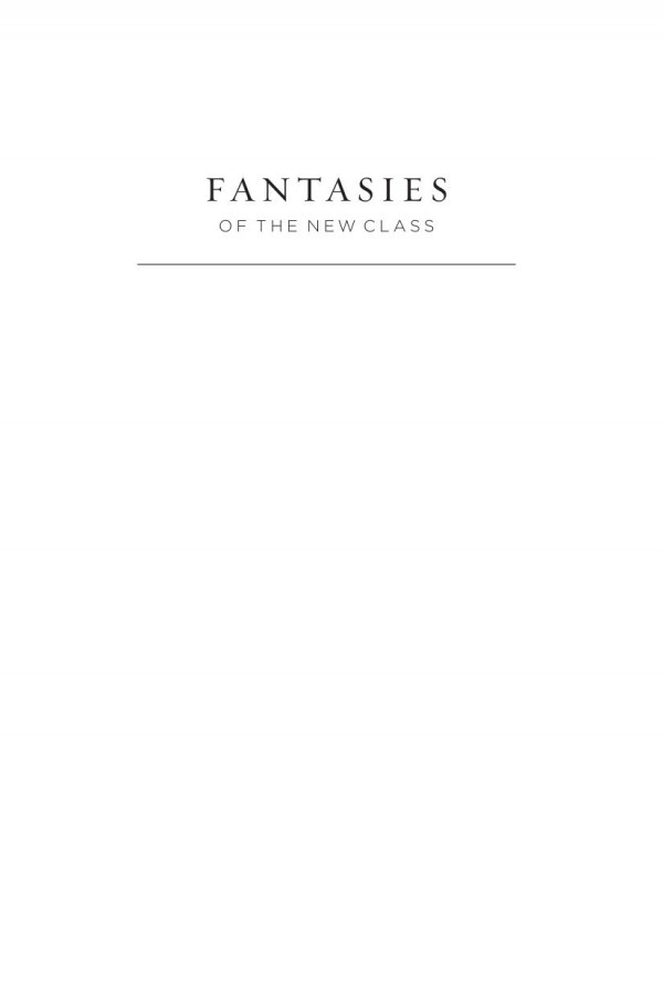 Fantasies Of The New Class Ideologies Of Professionalism In Postworld War Ii American Fiction Stephen Schryer