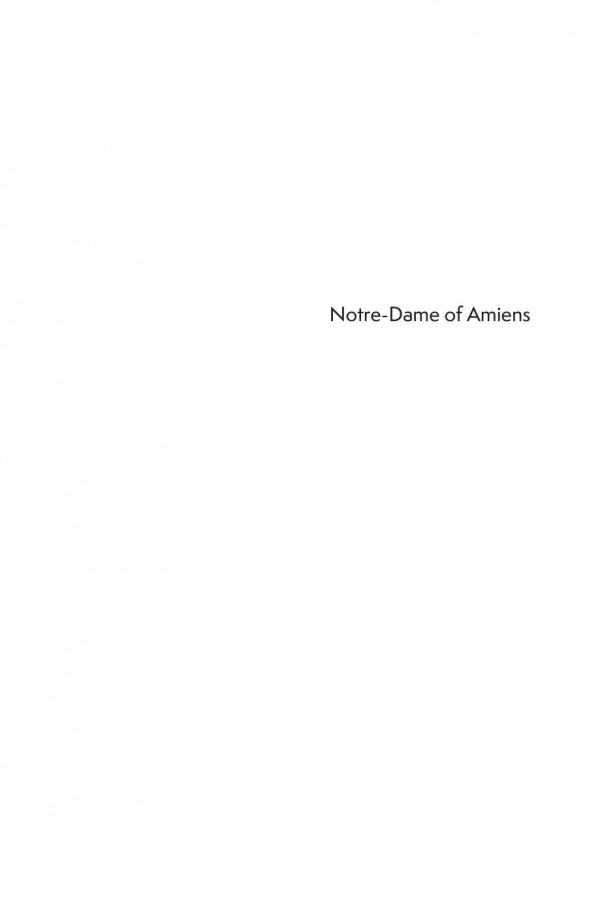 Notredame Of Amiens Life Of The Gothic Cathedral Stephen Murray