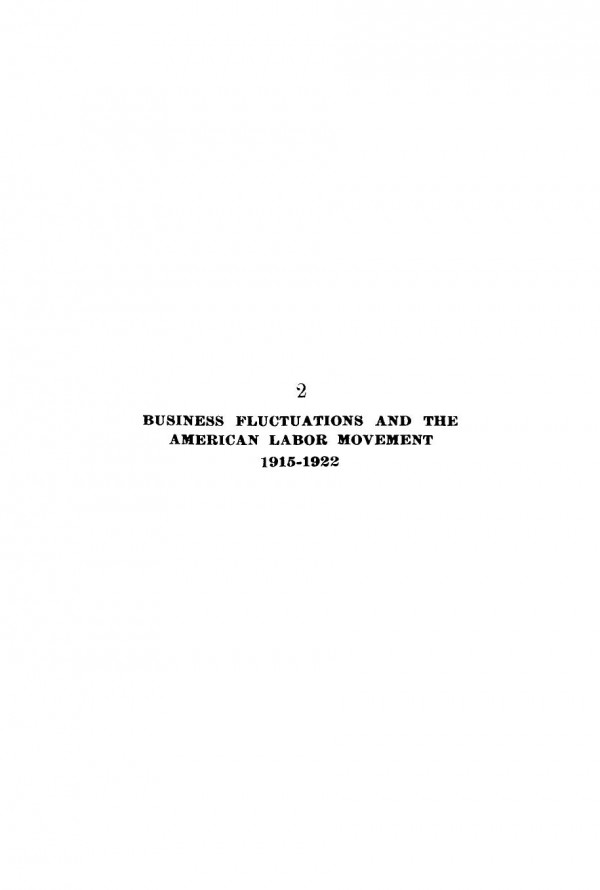 Business Fluctuations And The American Labor Movement 19151922 V W Lanfear