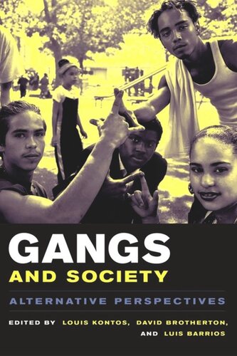 Gangs And Society Alternative Perspectives Louis Kontos Editor David C Brotherton Editor Luis Barrios Editor