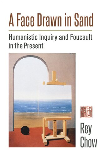 A Face Drawn In Sand Humanistic Inquiry And Foucault In The Present Rey Chow