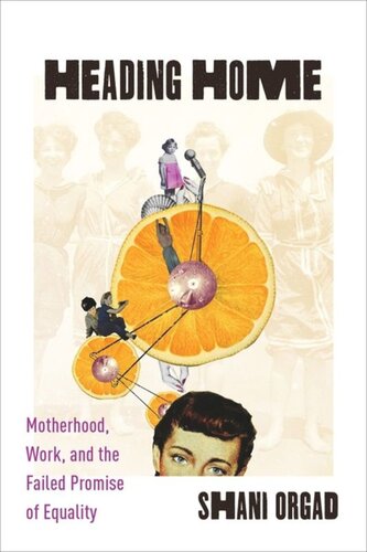 Heading Home Motherhood Work And The Failed Promise Of Equality Shani Orgad