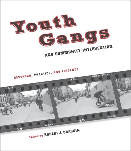 Youth Gangs And Community Intervention Research Practice And Evidence Robert Chaskin Editor