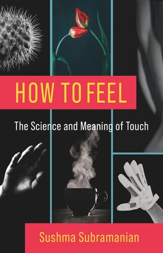 How To Feel The Science And Meaning Of Touch Sushma Subramanian
