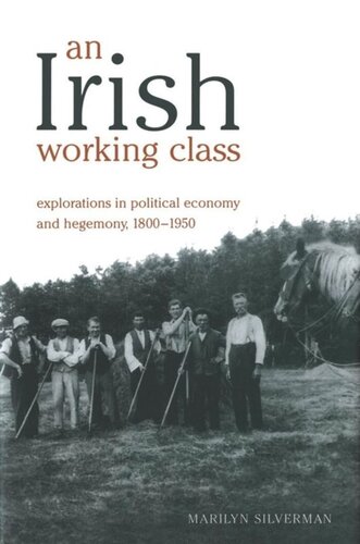 An Irish Working Class Explorations In Political Economy And Hegemony 18001950 Marilyn Silverman