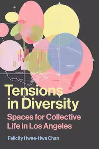 Tensions In Diversity Spaces For Collective Life In Los Angeles Felicity Hweehwa Chan