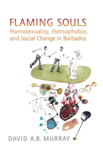 Flaming Souls Homosexuality Homophobia And Social Change In Barbados David Ab Murray