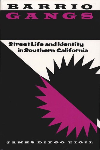 Barrio Gangs Street Life And Identity In Southern California James Diego Vigil