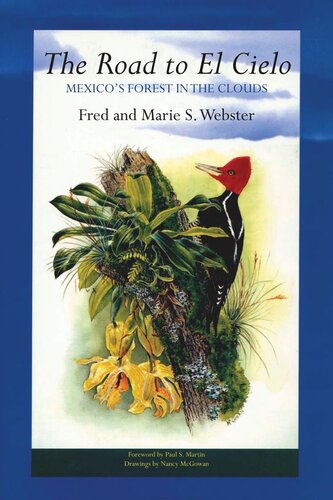 The Road To El Cielo Mexicos Forest In The Clouds Fred Webster Marie S Webster Paul S Martin