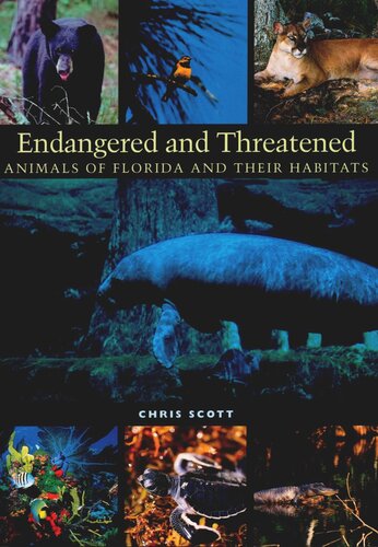Endangered And Threatened Animals Of Florida And Their Habitats Chris Scott