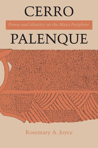 Cerro Palenque Power And Identity On The Maya Periphery Rosemary A Joyce