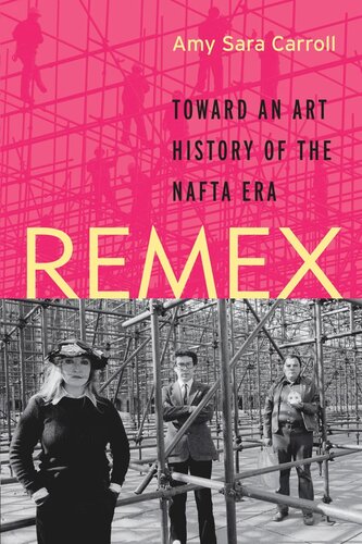 Remex Toward An Art History Of The Nafta Era Amy Sara Carroll
