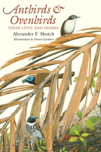 Antbirds And Ovenbirds Their Lives And Homes Alexander F Skutch Dana Gardner