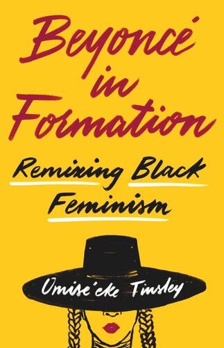Beyonc In Formation Remixing Black Feminism Omiseeke Natasha Tinsley