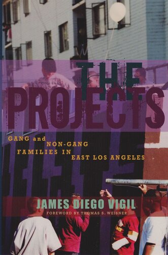 The Projects Gang And Nongang Families In East Los Angeles James Diego Vigil