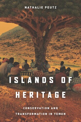 Islands Of Heritage Conservation And Transformation In Yemen Nathalie Peutz