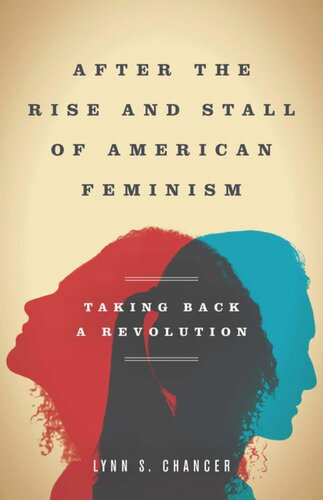 After The Rise And Stall Of American Feminism Taking Back A Revolution Lynn S Chancer