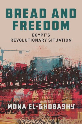 Bread And Freedom Egypts Revolutionary Situation Mona Elghobashy